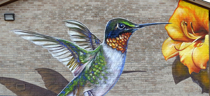 Anat Ronen Hummingbird mural with yellow flower